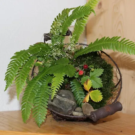 Nueschwendi Alpehytte *