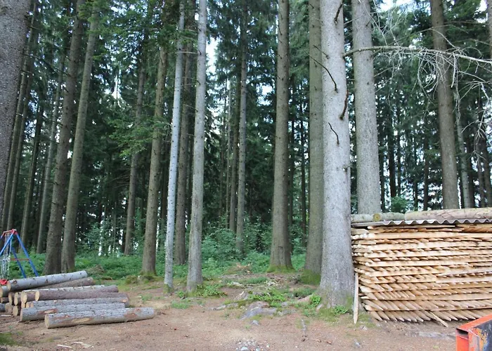 Nueschwendi Chalé *