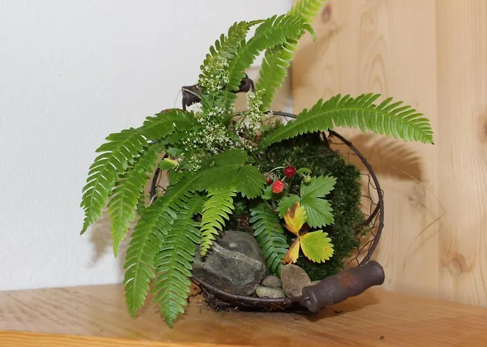 Nueschwendi Chalé *